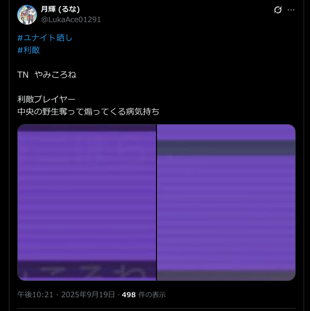 証拠画像 251